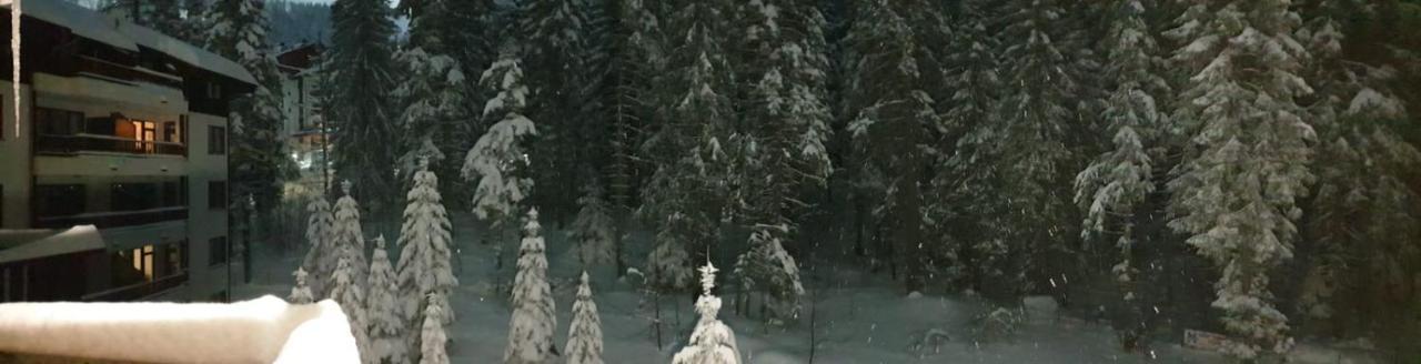Charming Winter Studio Borovets Exteriör bild